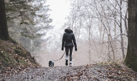 découvrez une variété d'activités passionnantes adaptées à tous les âges, des aventures en plein air aux ateliers créatifs. explorez de nouvelles expériences et enrichissez vos loisirs dès aujourd'hui !